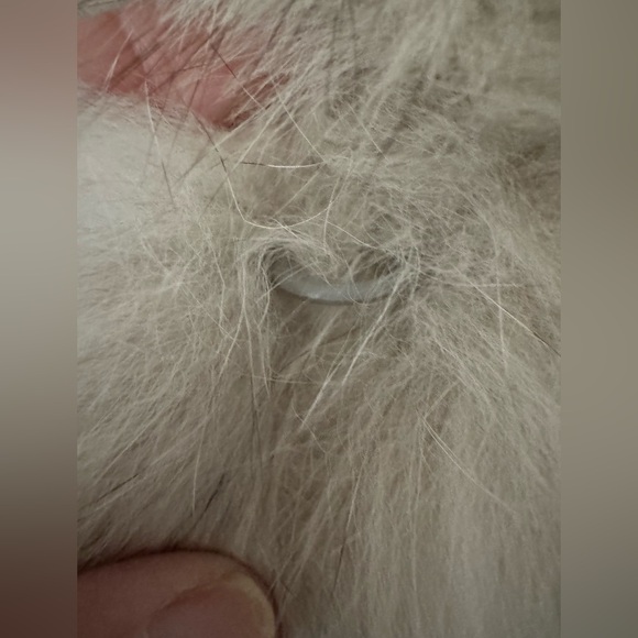 Saga Furs Blue Fox Vintage Real FurJacket/Coat in perfect condition. Size 6. - Picture 9 of 12